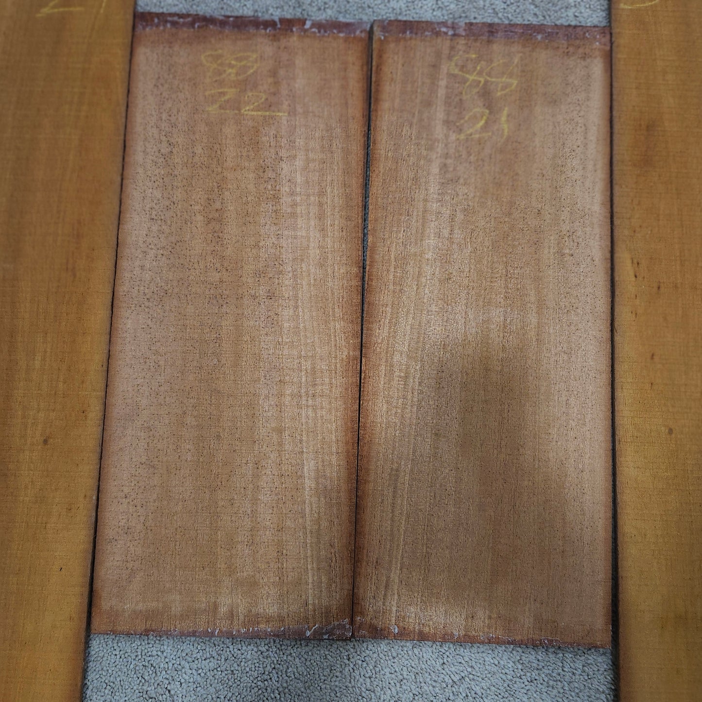 Indian Mahogany Back & Side