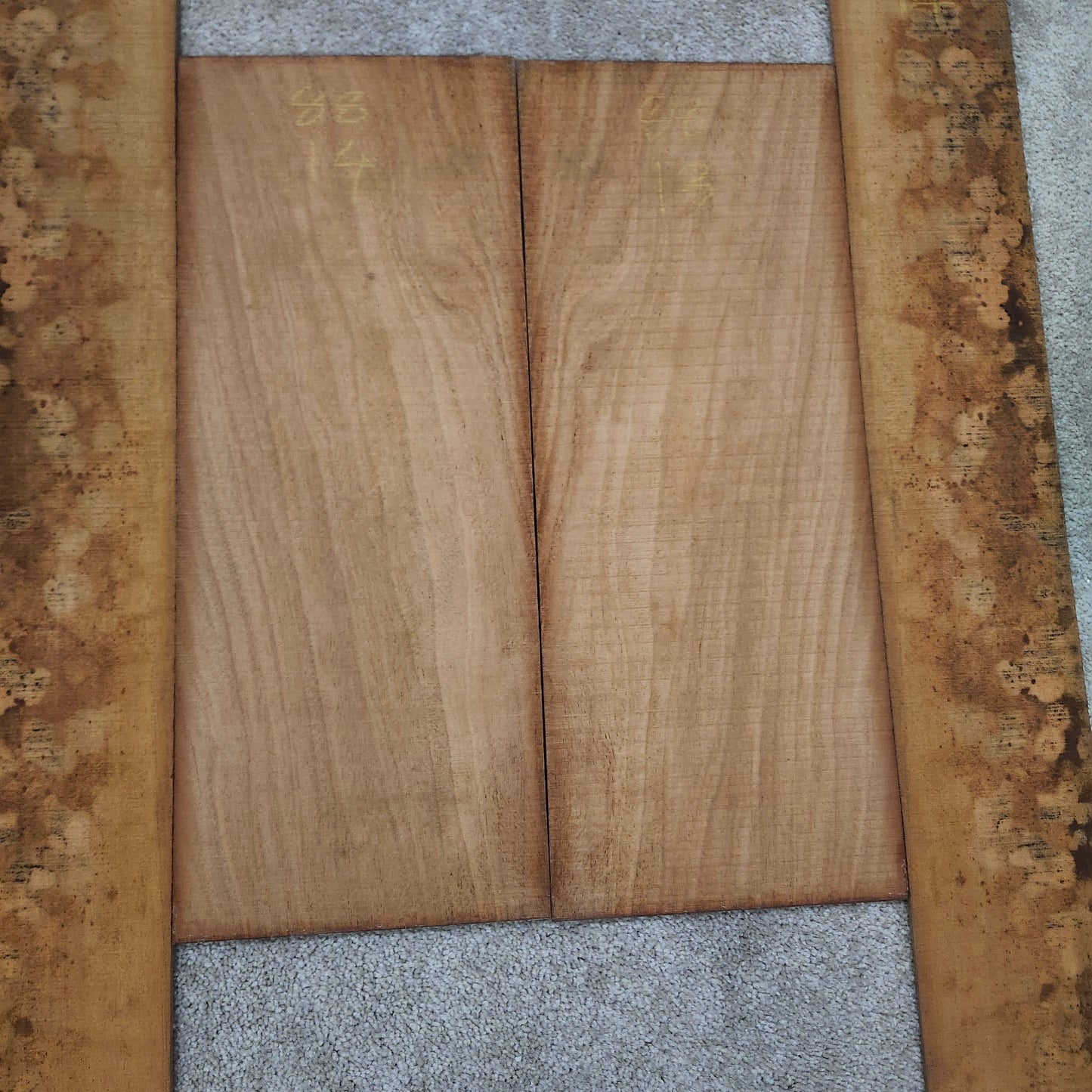 Indian Mahogany Back & Side